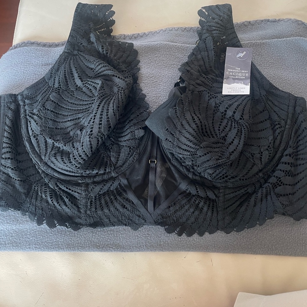 Lane Bryant Seriously Sexy Black Lace Bra - NWT!  (44DD) - Picture 4 of 14